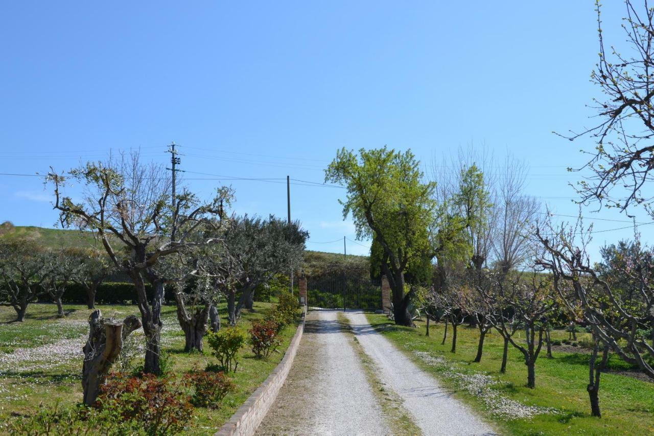 Agriturismo Villa Rosetta 산세베리노마르케 외부 사진